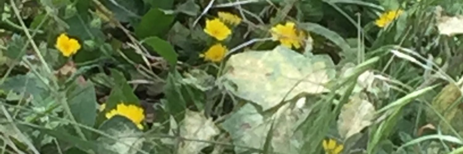 mm8463's profile banner image