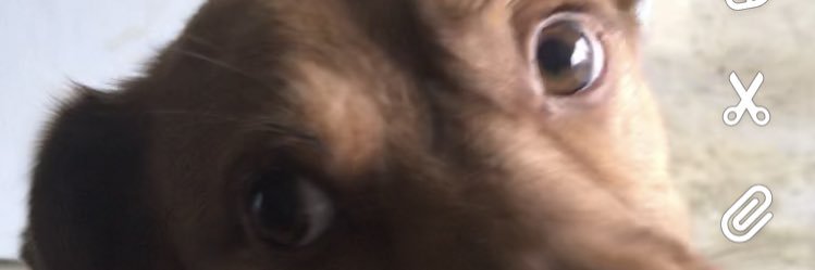 Windowman813's profile banner image