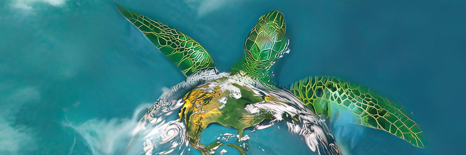 L_Shell's profile banner image