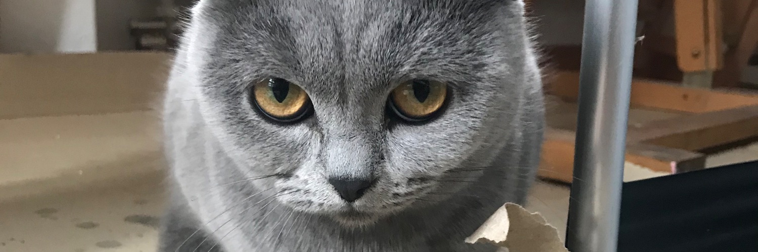 ThrowATwit's profile banner image