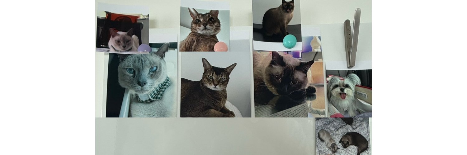 ʸᵒᵘʳ ¹⁰ᵛᵉˡʸ ᶠᵃⁿ banner