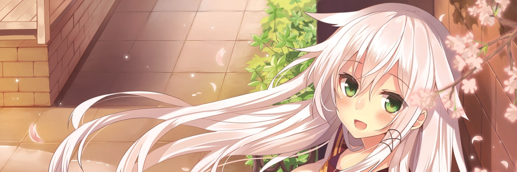 akapin_momy's profile banner image