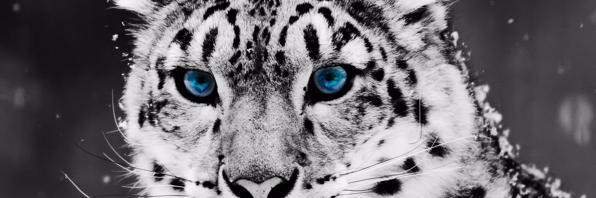 jud4ngle's profile banner image