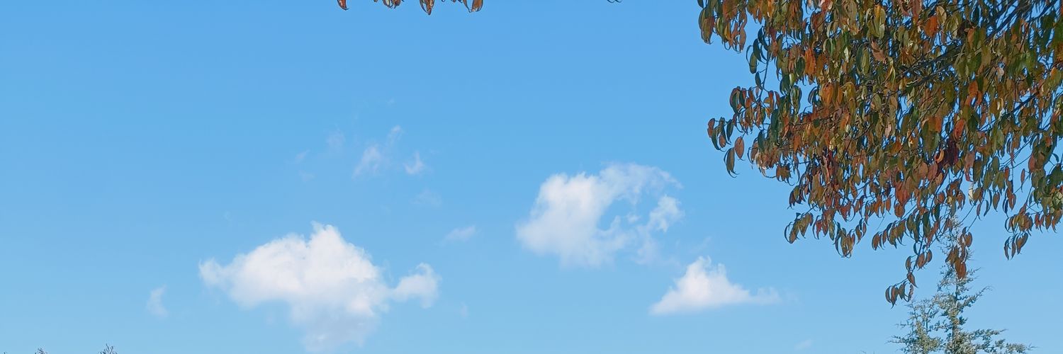 Vaiko's profile banner image