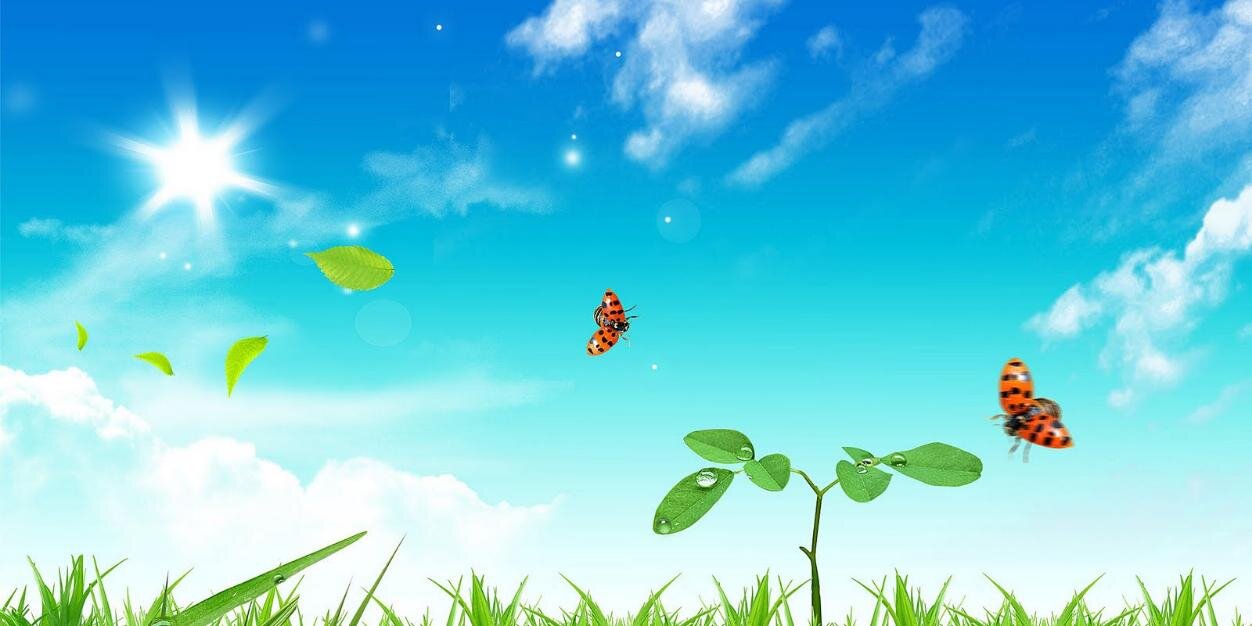 TWeathersb's profile banner image