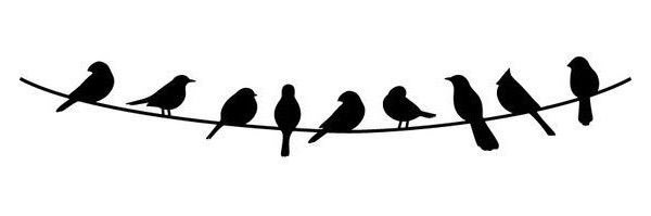 MrDBird's profile banner image