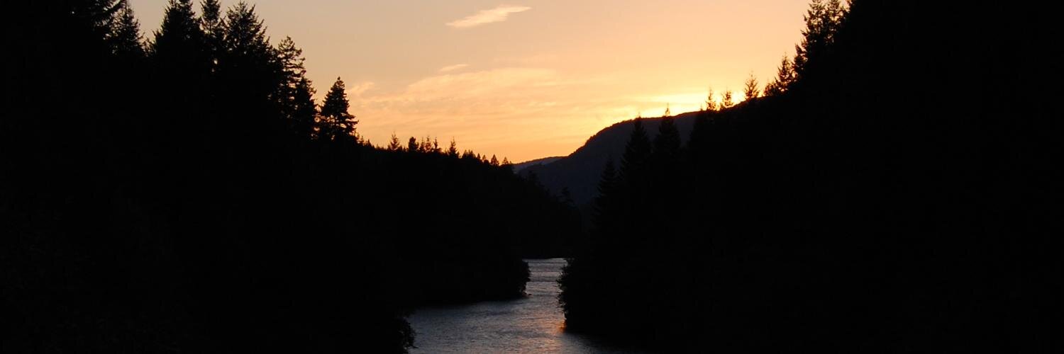 Cait_Stapes's profile banner image
