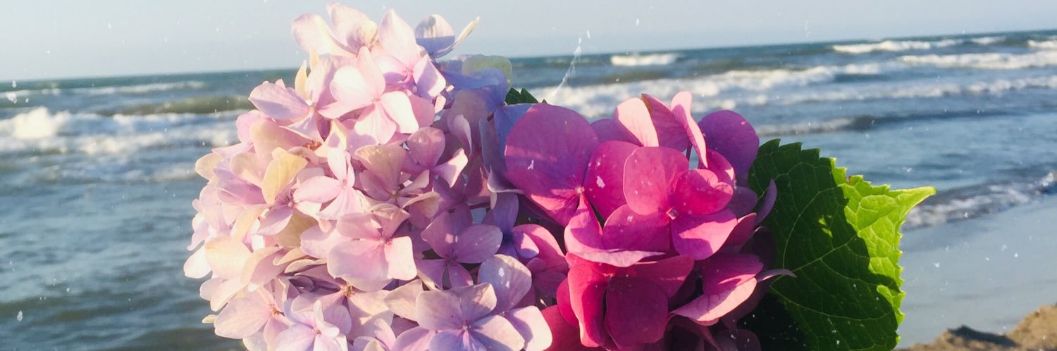 hilalarar's profile banner image