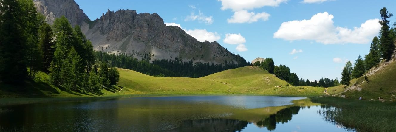 Buffel_w's profile banner image