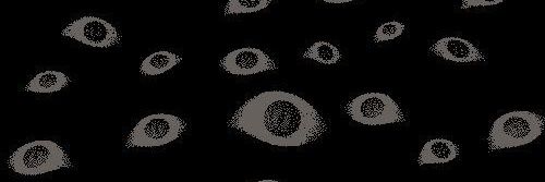 OliiBernal's profile banner image