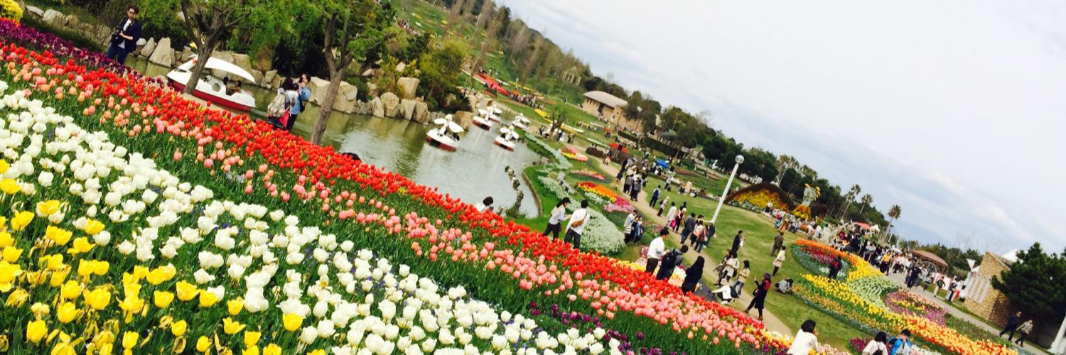yuipon_3's profile banner image