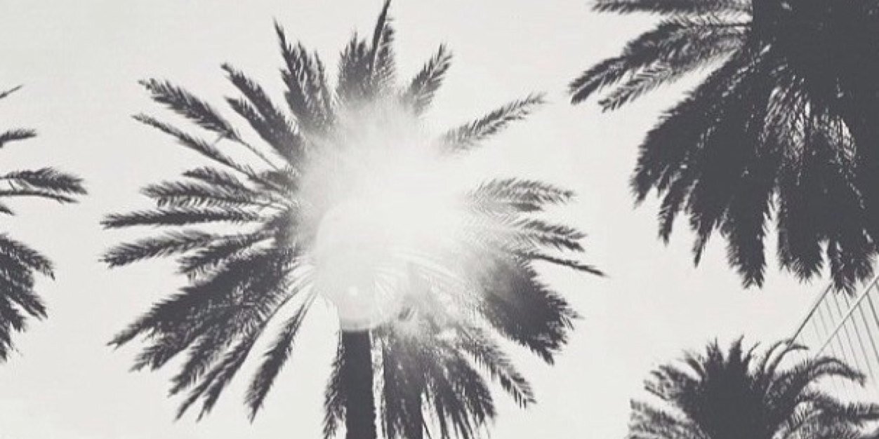 AbbieSheehan1's profile banner image