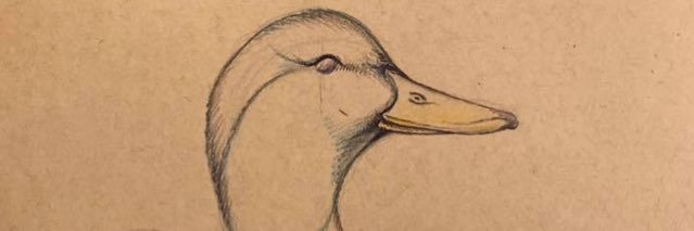 CiKarakullukcu's profile banner image
