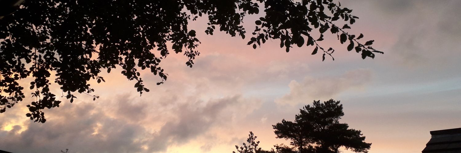 Quinnjones2C's profile banner image