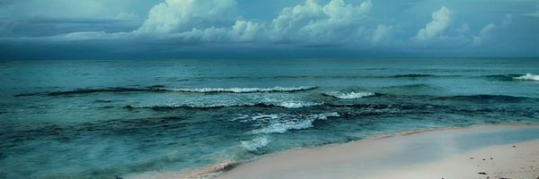 shadowcorn77 Profile Banner
