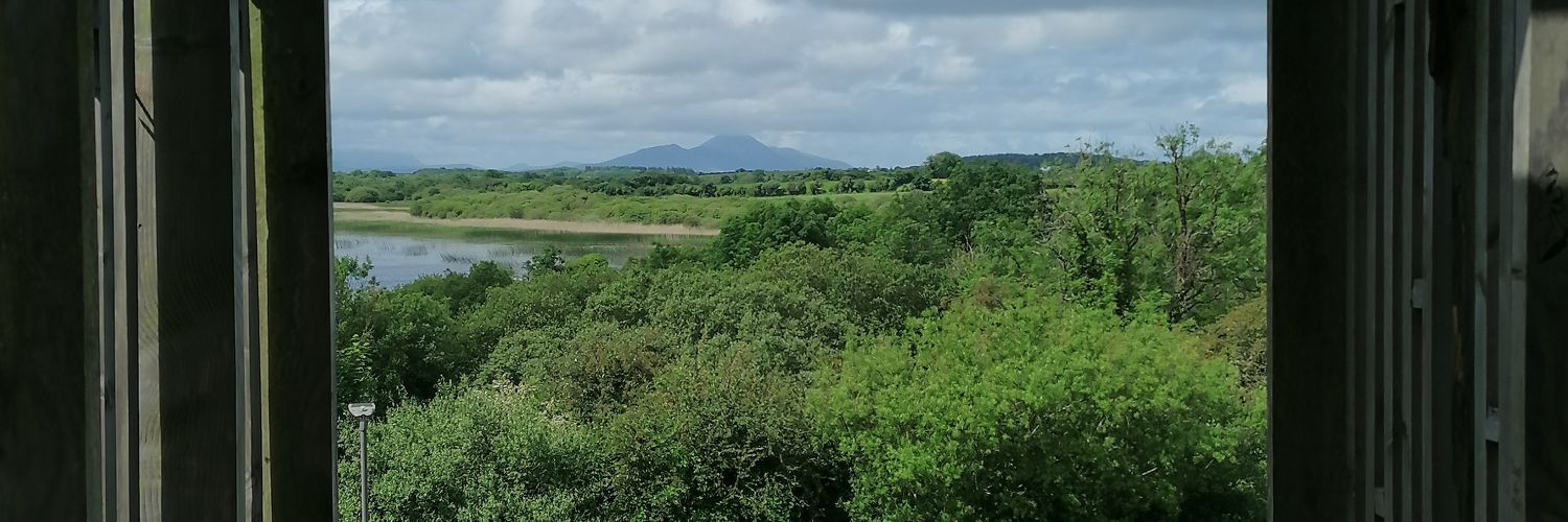 Aisling McCann 🇺🇦 banner