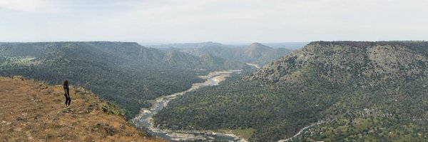 ZaraTV Profile Banner