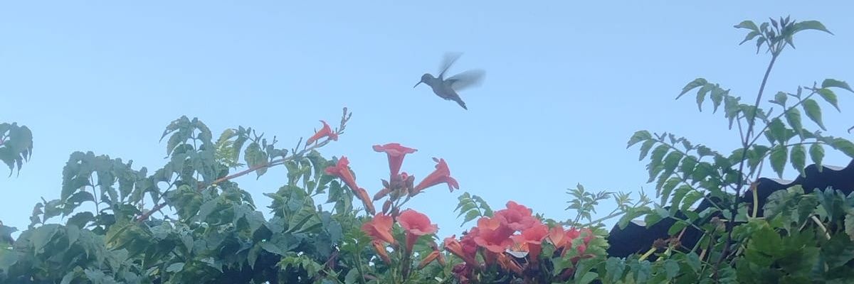 Axelmanias's profile banner image