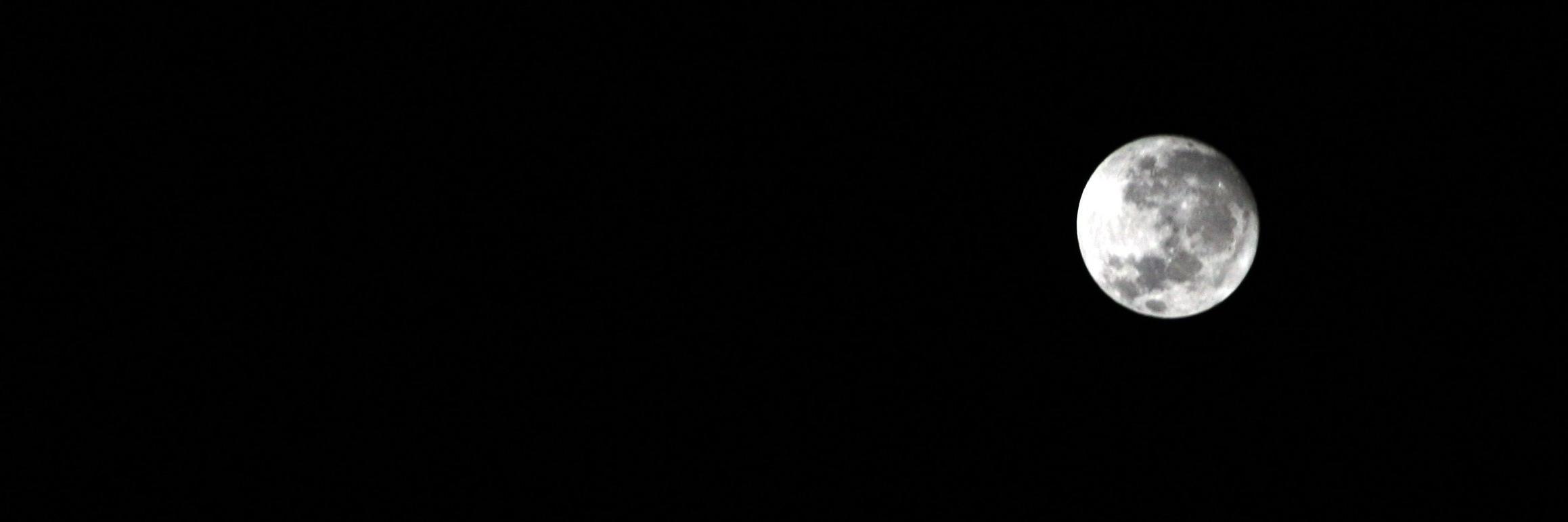 iruwhite's profile banner image