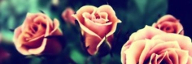 Fallon1787's profile banner image