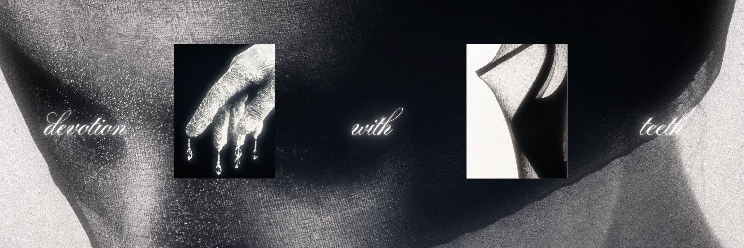 ⊰ banner