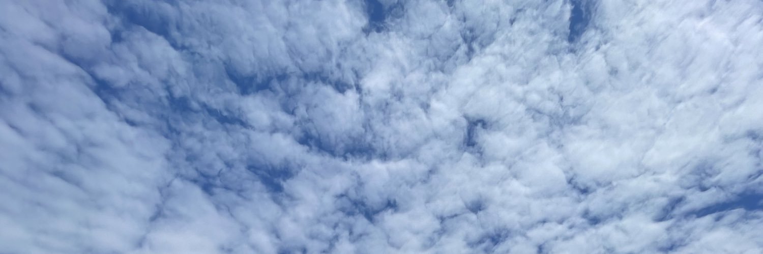 nsevgili's profile banner image
