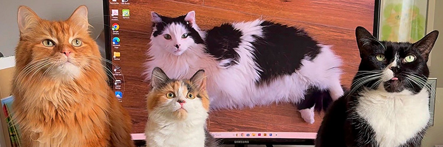 The Oreo Cat's banner