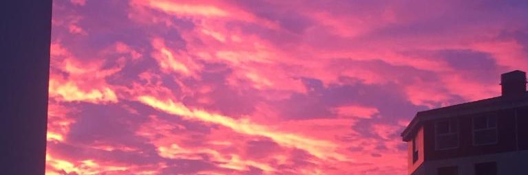 Ana Fernández Montes, MD,Phd banner