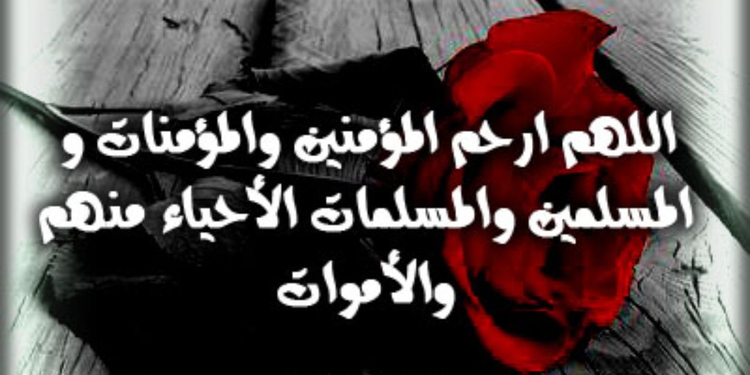 WDO1425's profile banner image