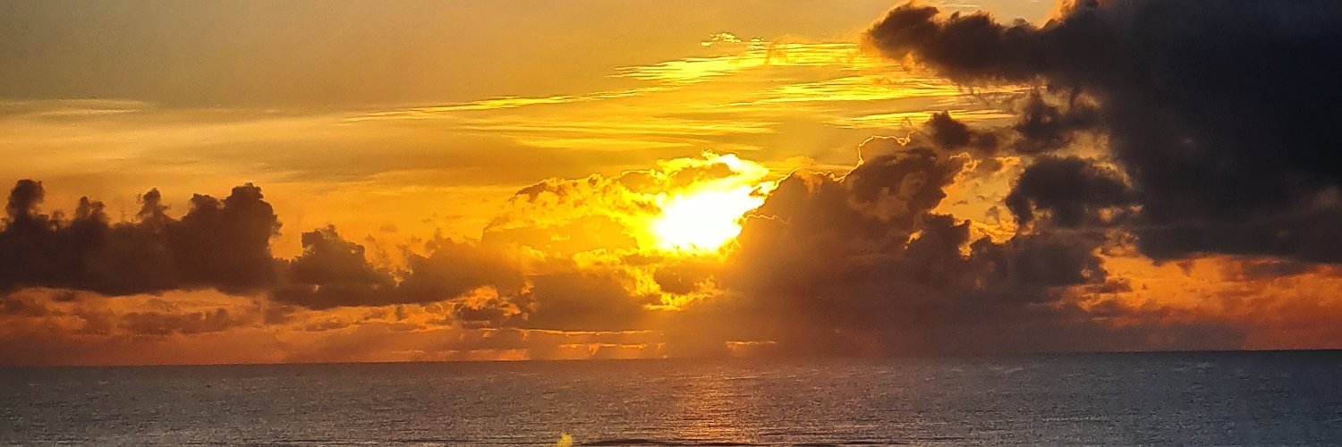 andre_pupulin's profile banner image