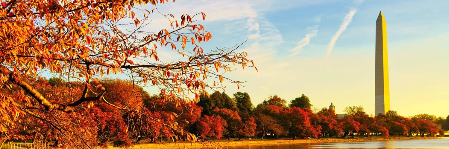 ReynoldsBoadi's profile banner image