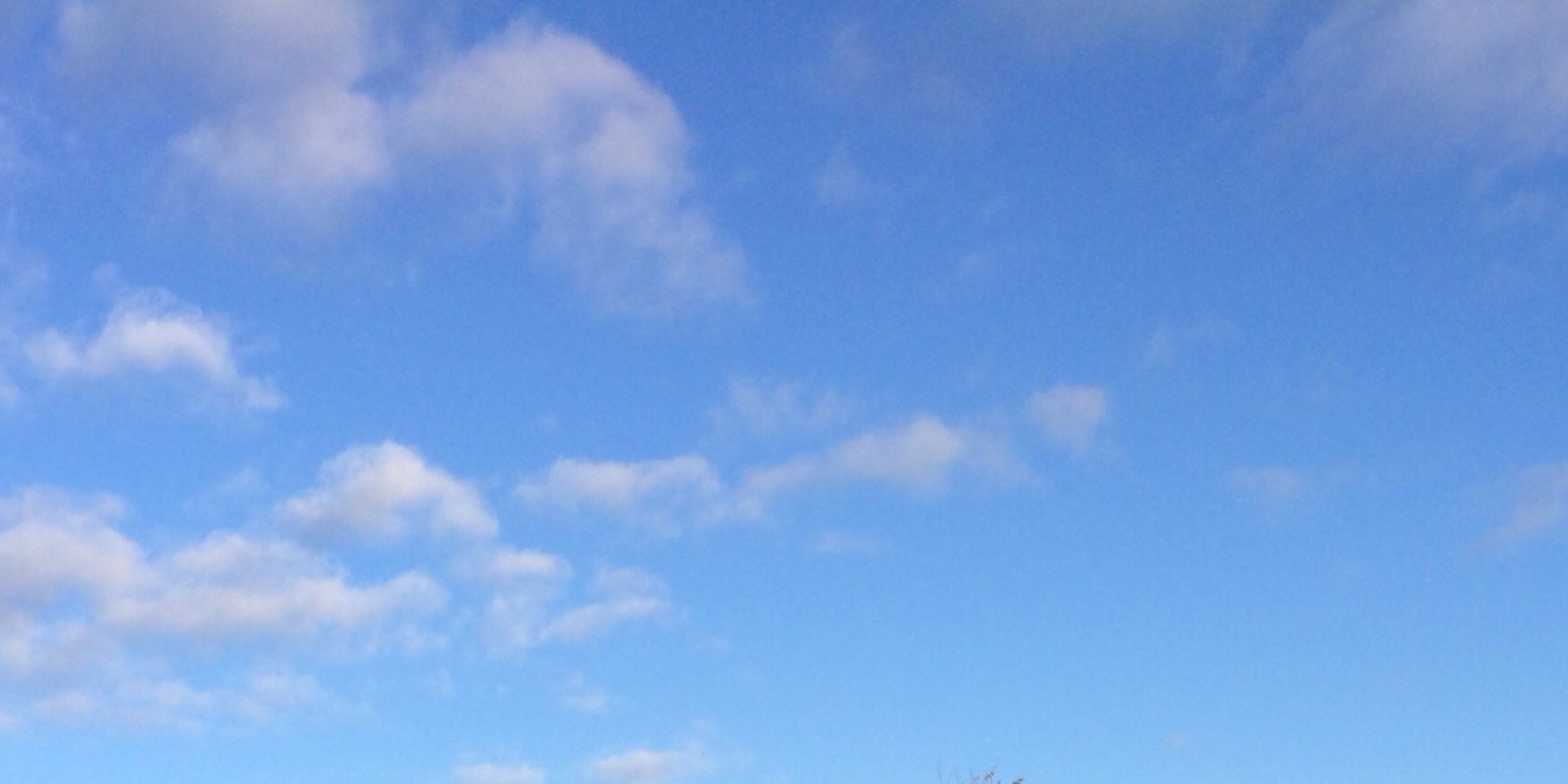 BrianCapovilla's profile banner image