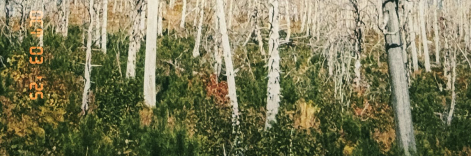 _Katabatic's profile banner image