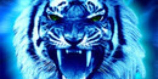 Radik231075's profile banner image