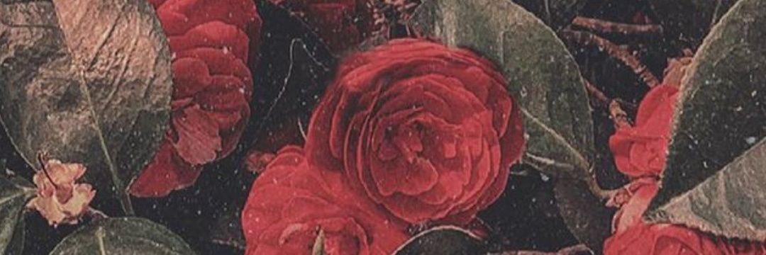 albita08_'s profile banner image