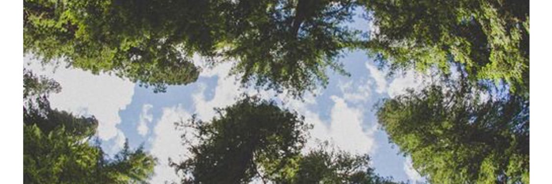 salorodriguez_'s profile banner image