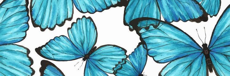 SarahLeichliter's profile banner image