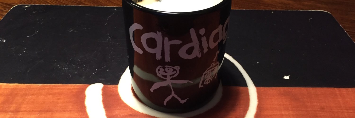 klaas koopmans 🌳🌲🐥Hel(d) van `63 banner