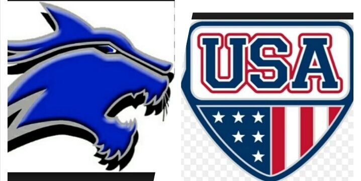 Sarid Shahdaiah banner