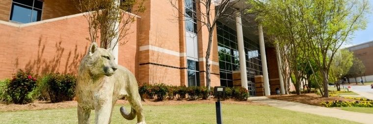 eli_stone8's profile banner image