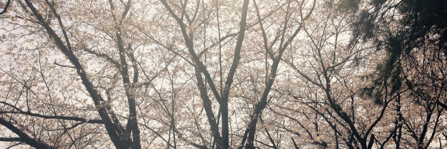 qu_ess's profile banner image