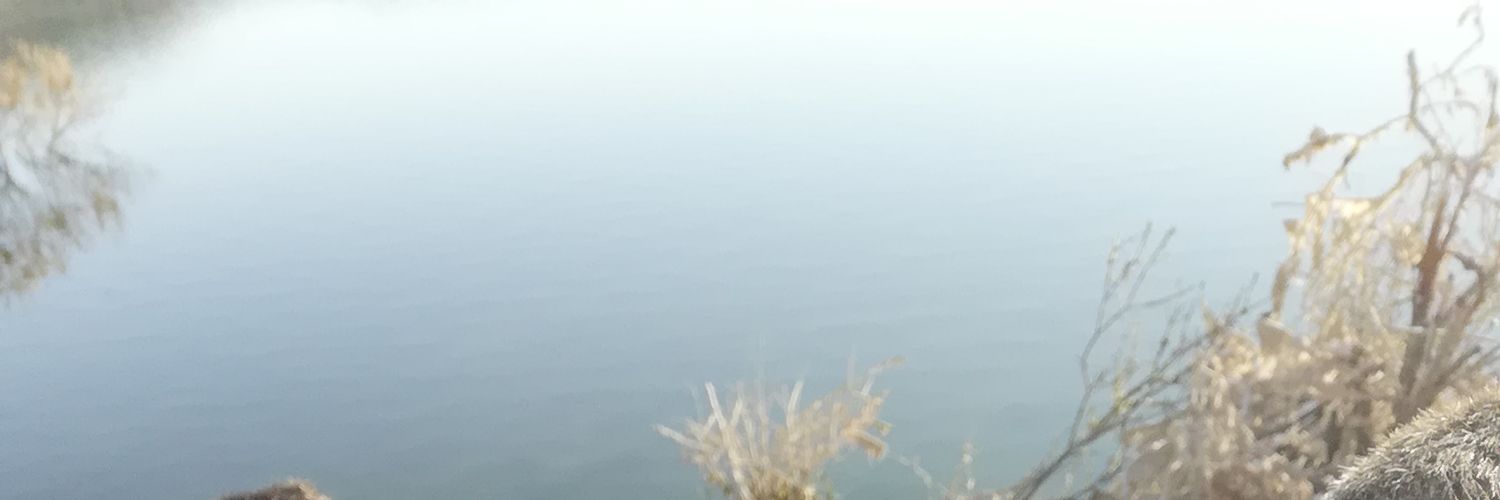 Clnt03's profile banner image