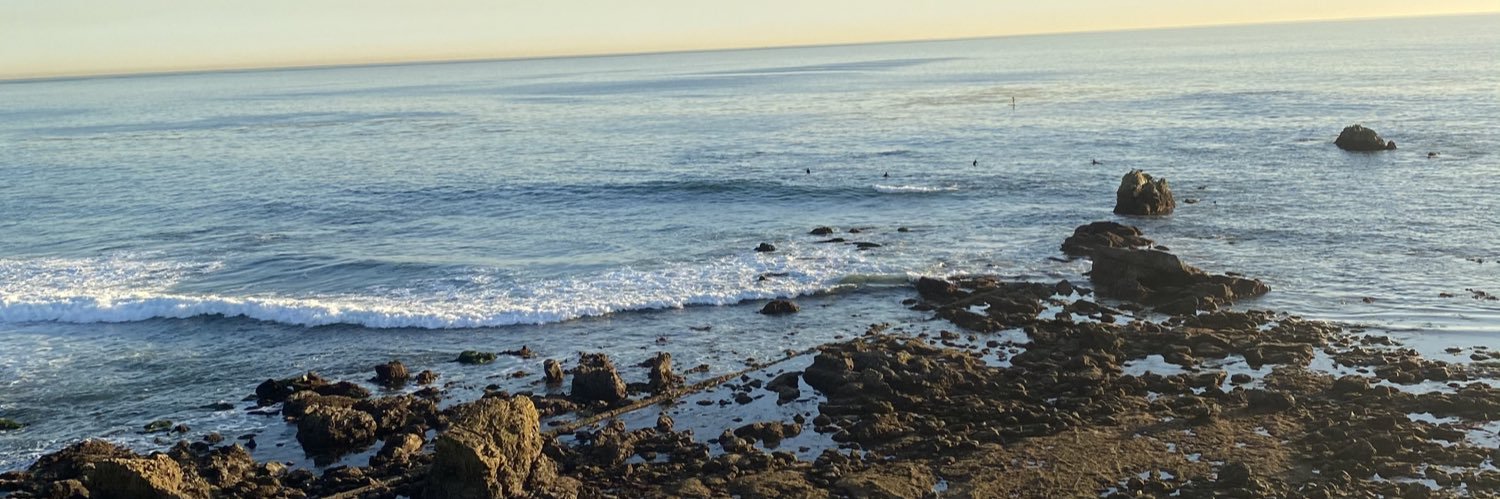 thatkiddez's profile banner image