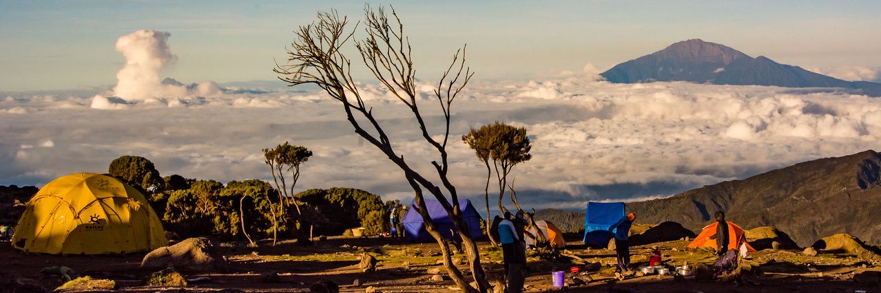 Jessica DeLong, MD, FACS banner