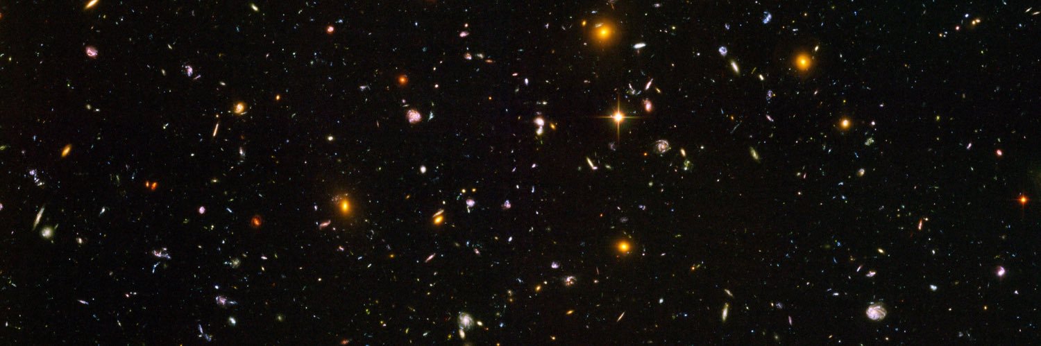 big baseball fan again banner