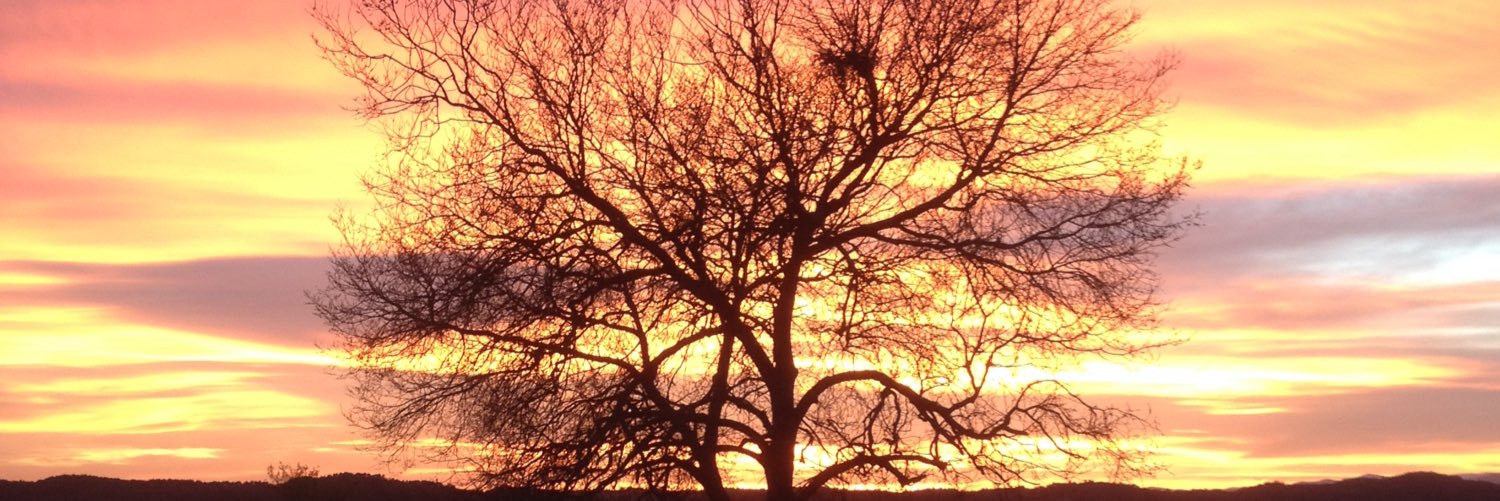 font_pep's profile banner image
