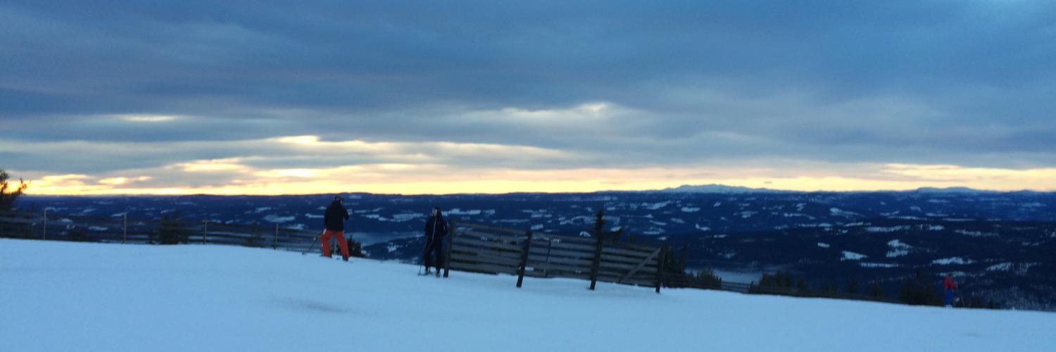 noss_olsen's profile banner image