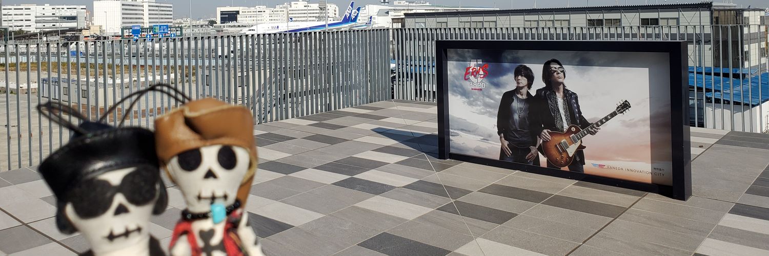 rokopanda's profile banner image