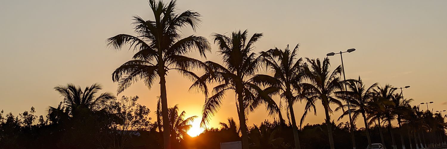 jessicapando's profile banner image