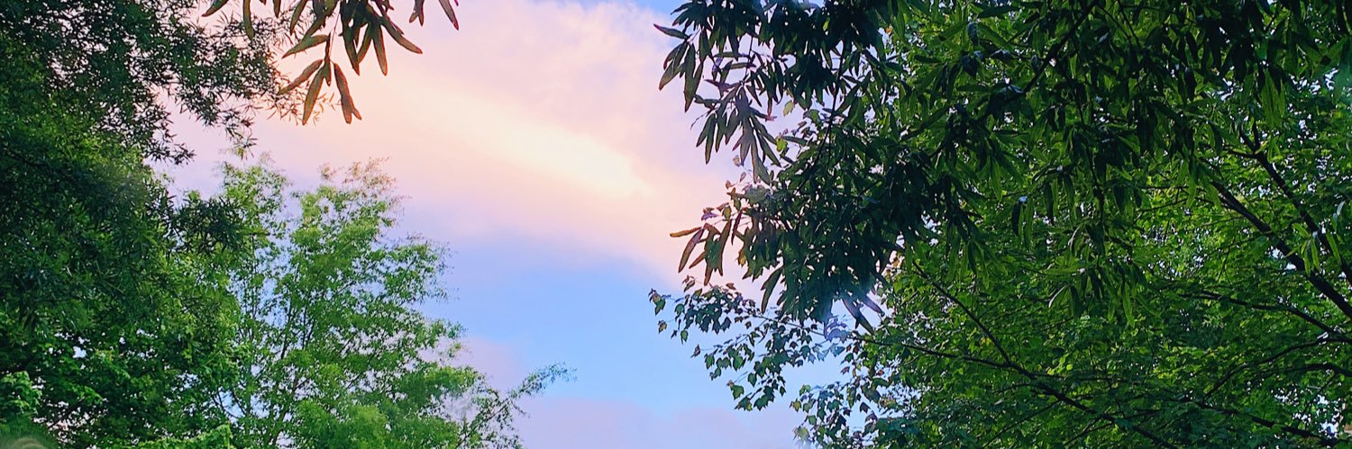 oiliviaaa's profile banner image